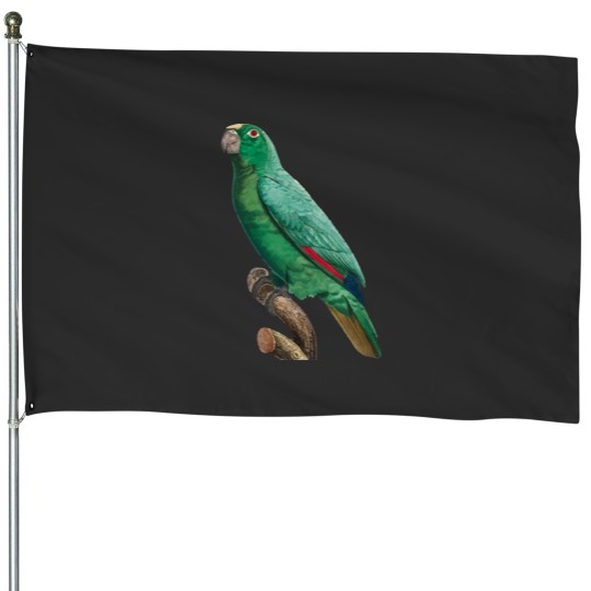 Discover Cute Bird 2 jimmy buffett to p sellin g widodo ganteng transparent House Flags