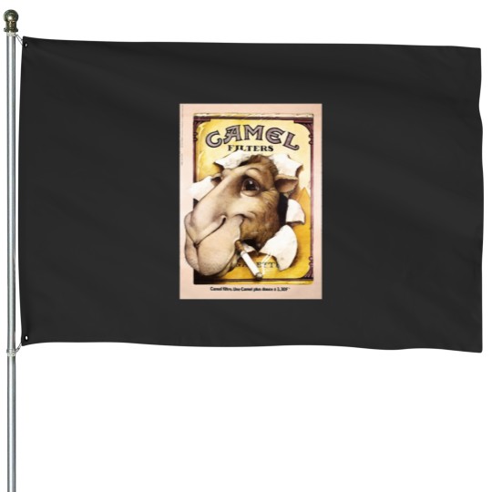 Discover Camel Filters House Flags