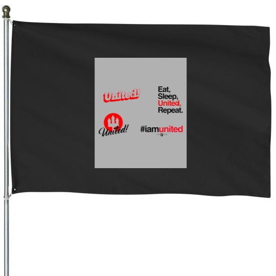 Discover United Sticker Pack House Flags