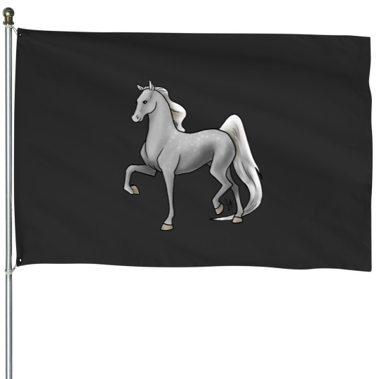 Discover House Flags