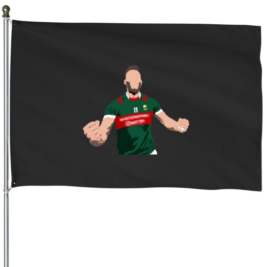 Discover County Mayo Gaa All Ireland House Flags