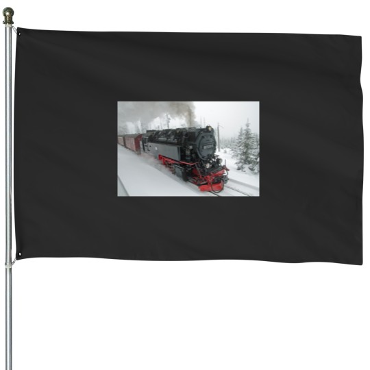 Discover Winter in the Harz House Flags