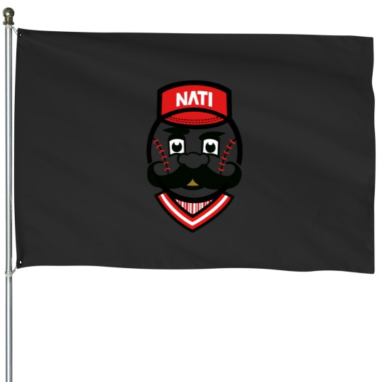 Discover Cincinnati Red (transparent) (1) House Flags