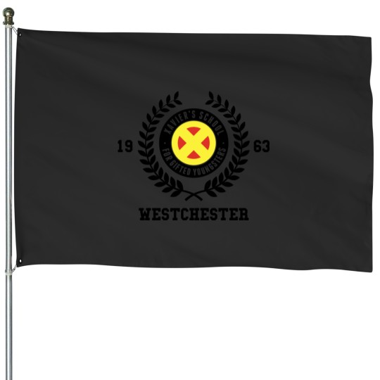 Discover xavier's school for gifted youngsters (classic)  .png House Flags