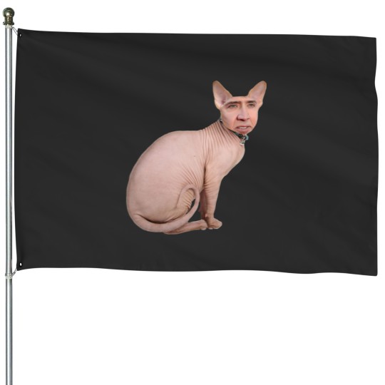 Discover Cat House Flags