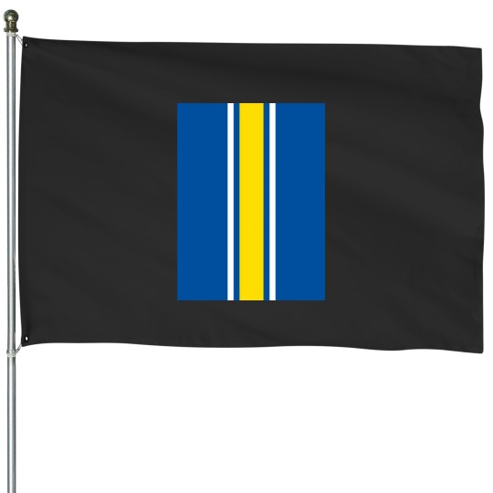 Discover Blue, White, &amp_ Yellow Vertical Power Stripe Graphic House Flags