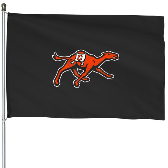 Discover campbell university fighting camels distressed primary House Flags