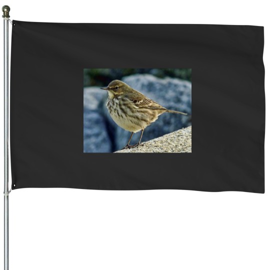 Discover The Finnmarken at Dusk in Tromso House Flags