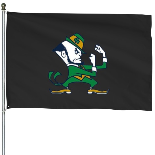 Discover Fighting Irish House Flags