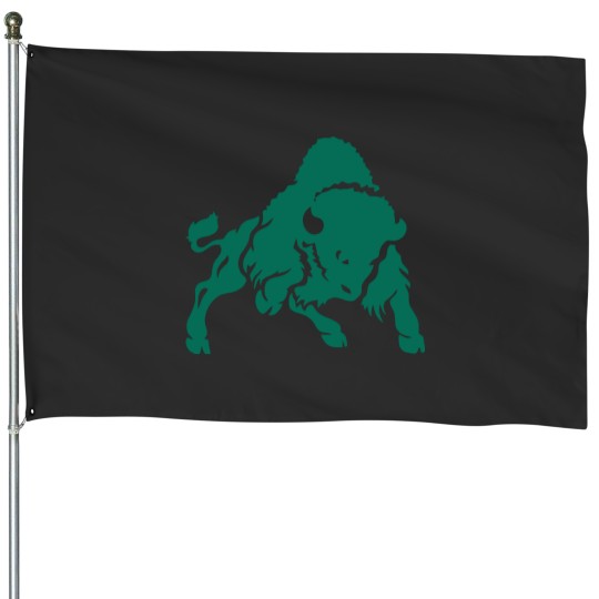 Discover College of Bethany Bison Athletic House Flags