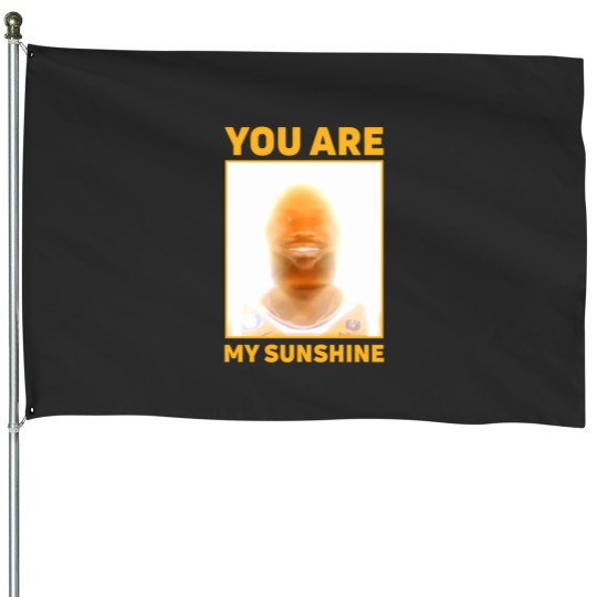 Discover lebron james you are my sunshine House Flags