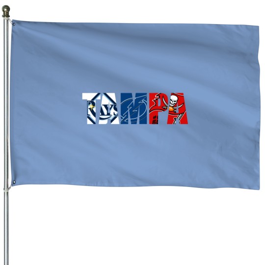 Discover Tampa Sports Team Baseball House Flags