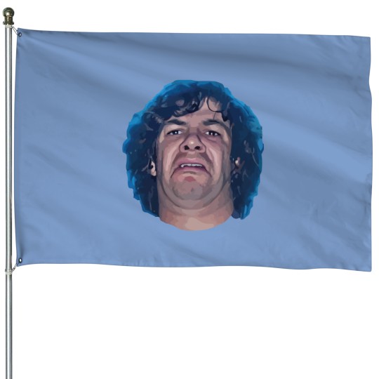 Discover Dean Ween Guitar Face Dean Ween Guitar Face House Flags