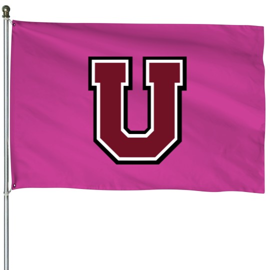 Discover Union College NY dutchmen Zip House Flags