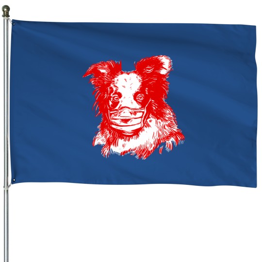 Discover Collie Dog House Flags