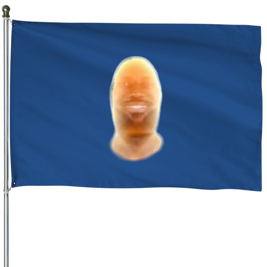 Discover You Are My Sunshine - Lebron James House Flag
