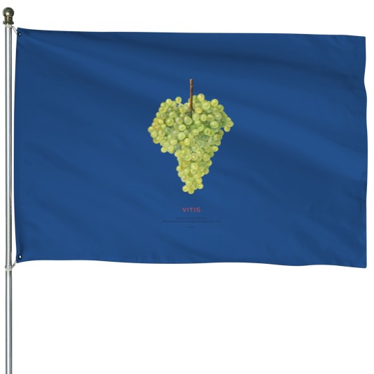 Discover Grape or Vitis House Flags