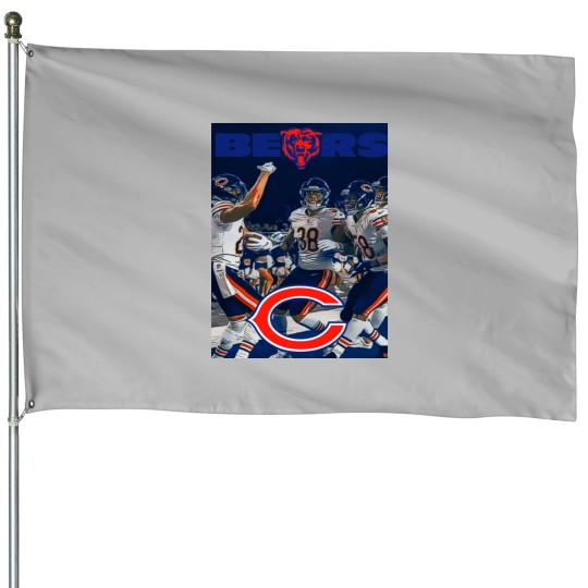 Discover CHICAGO SPORTS TEAM House Flags