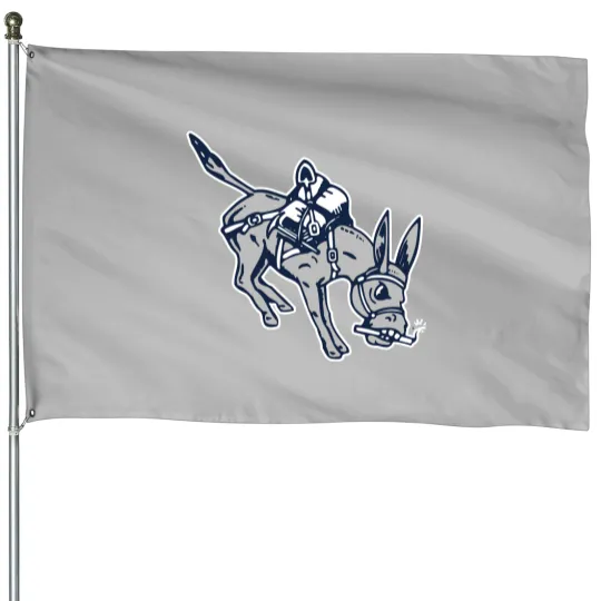 Discover Colorado School of Mines Orediggers House Flags