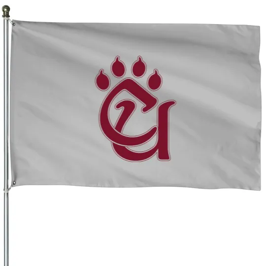 Discover Concord University Mountain Lions House Flags