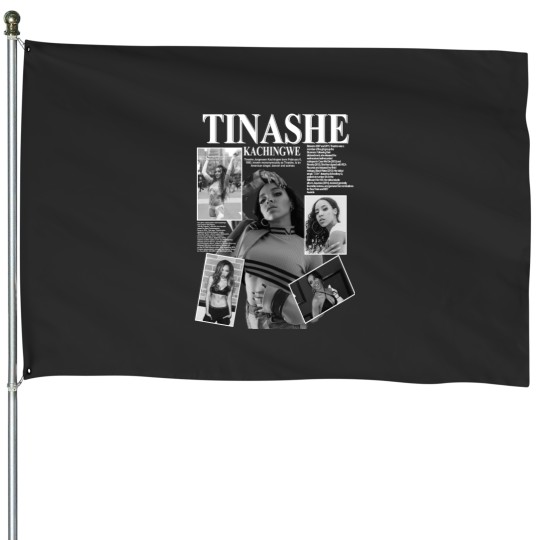 Discover Tinashe Music House Flags K1, Tinashe Album Music Pop
