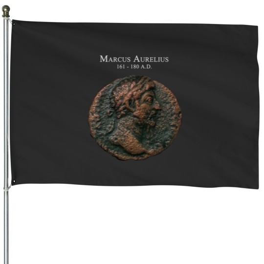 Discover Ancient Roman Coin - MARCUS AURELIUS House Flags