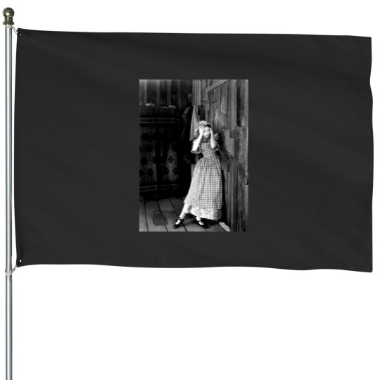 Discover Lillian Gish Freak Out  The Wind House Flags