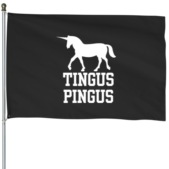 Discover Boston Basketball Fan Tingus Pingus Unicorn House Flags