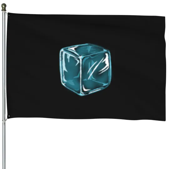 Discover Ice Cube House Flags