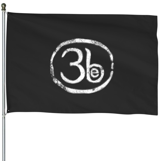 Discover Third Eye Blind grunge House Flags