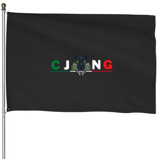 Discover CJNG, The Jalisco Neweneration Cartel House Flags