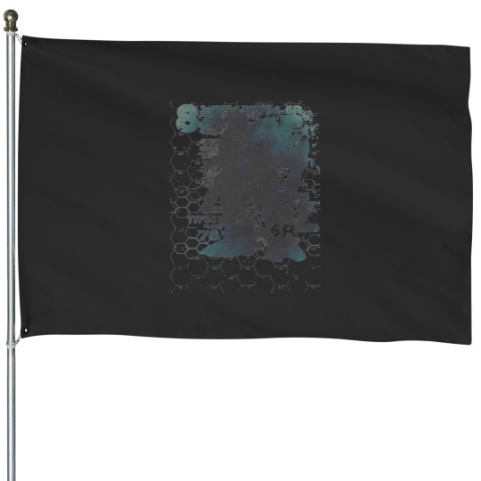Discover 84 Revisited House Flags