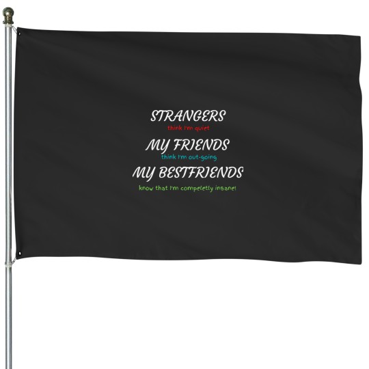 Discover Funny Insane Quote House Flag