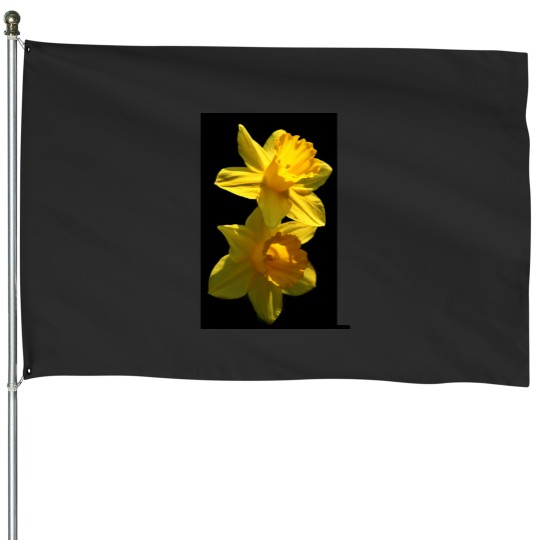 Discover Daffodils House Flags