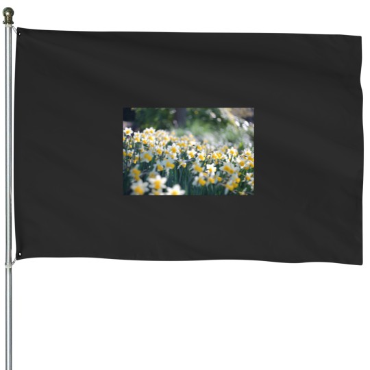 Discover Easter Daffodils House Flags