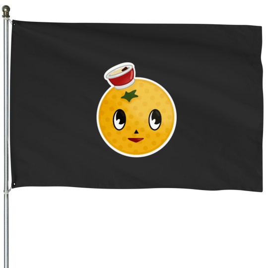 Discover Ono Michio House Flags