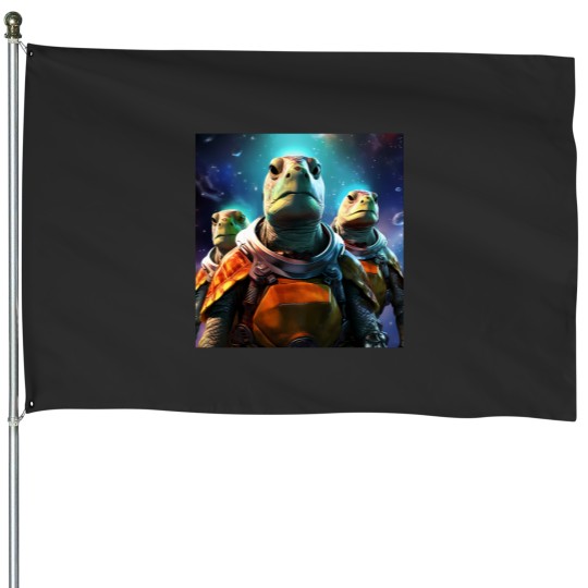 Discover Space Turtles House Flags