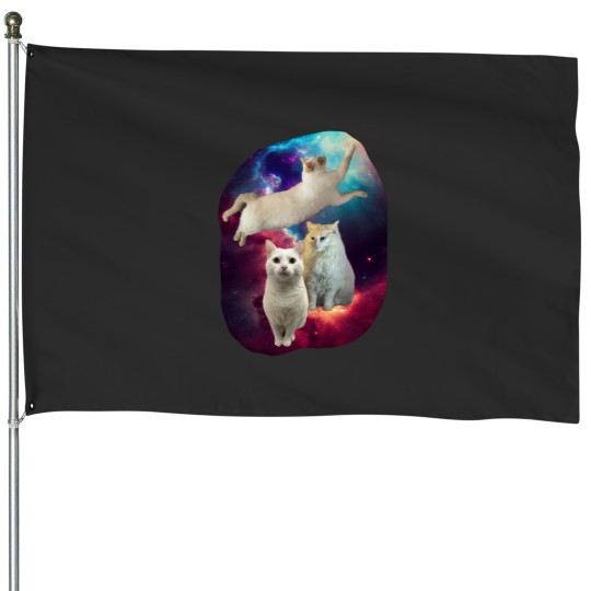 Discover Space cat House Flags