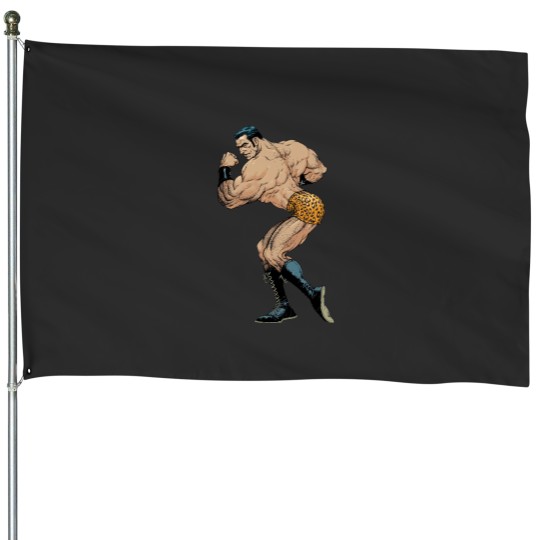 Discover flex mentallo, comics, patrol, strongman, hero of the beach, charles atlas, muscle power,pin up House Flags
