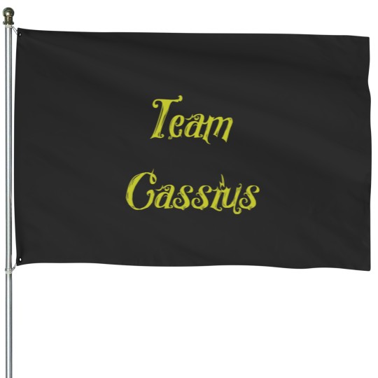 Discover Team Cassius House Flags