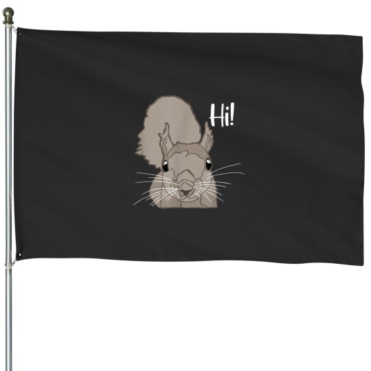 Discover Grey Squirrel House Flags