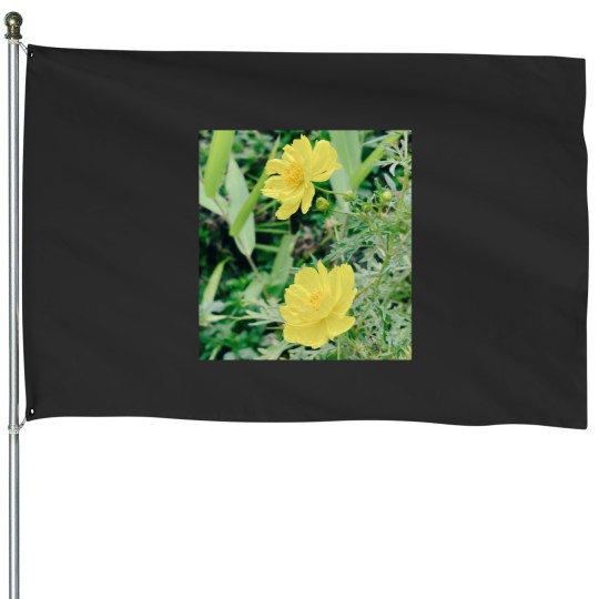 Discover Cosmos Classic House Flags