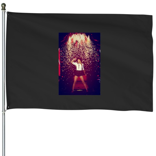 Discover taylors swifts House Flags
