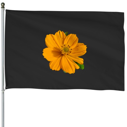 Discover Yellow Cosmos Classic House Flags