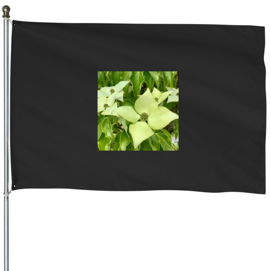 Discover White Truffle(1) House Flags