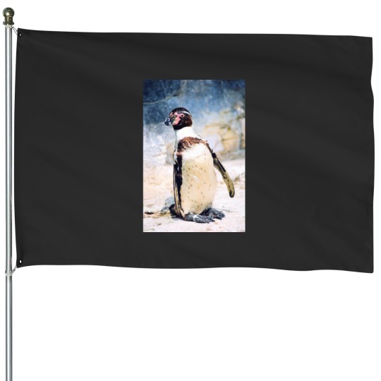 Discover You lookin_ at me Punk Active(1) House Flags