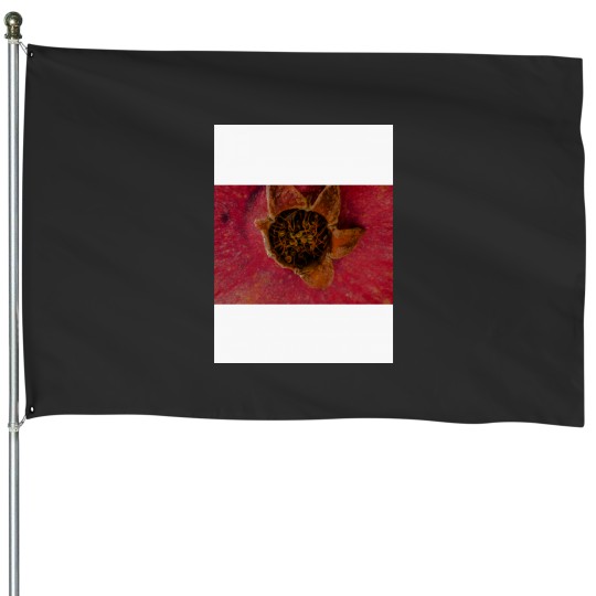 Discover Plums and Oranges Active House Flags