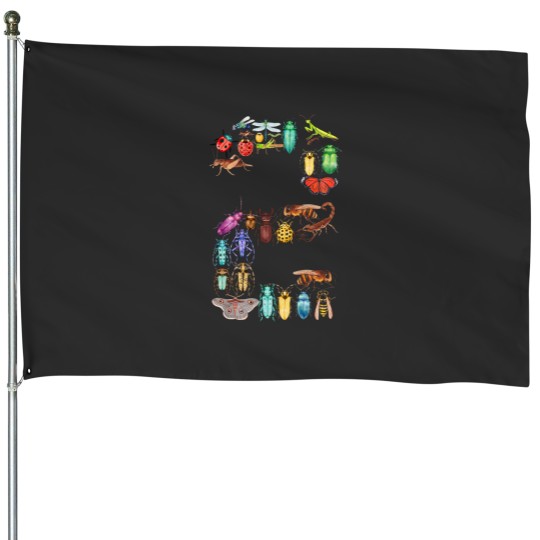 Discover Toddler 2nd Birthday Bugs Insects Beetles Kids 2 Year Old House Flags
