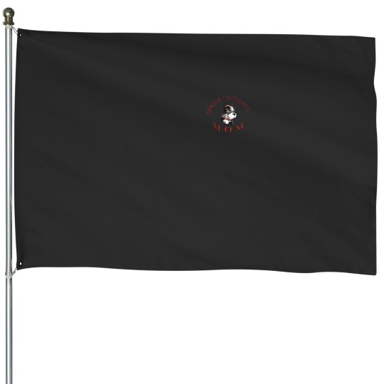 Discover Bostons University Mom House Flags