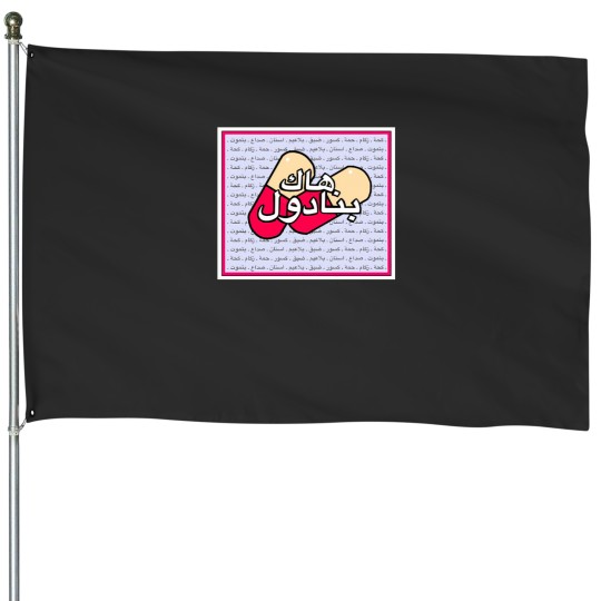 Discover Take Panadol 245 House Flags